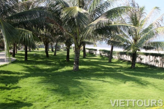 Ngày hội gia đình 